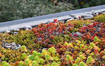 the cost of London Apprentice green roof installation