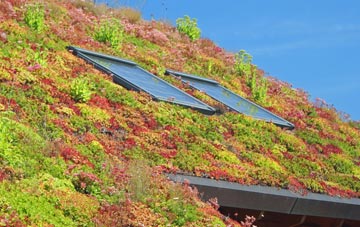 London Apprentice living roof systems